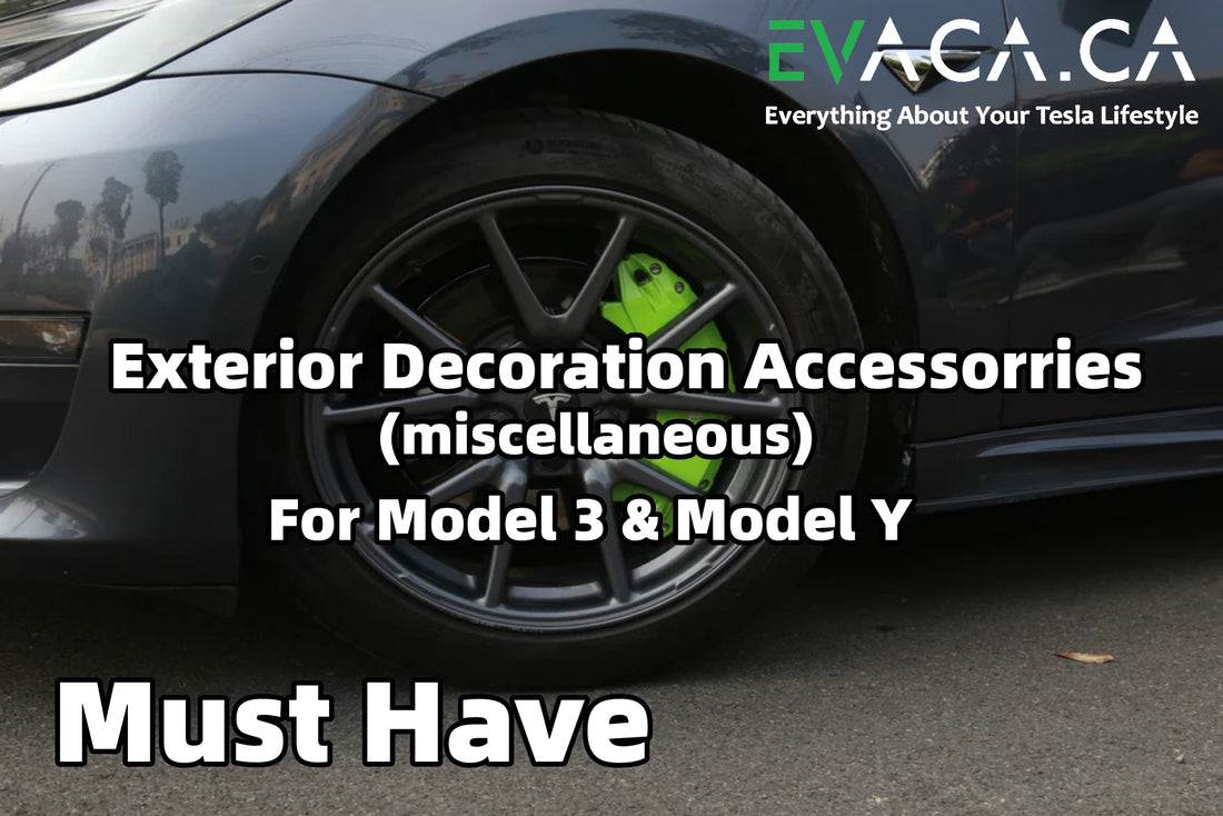 Must-Have Exterior(miscellaneous) Decoration Accessories for Model 3 & –  EVACA, Premium Accessories for Tesla Model 3 & Model Y