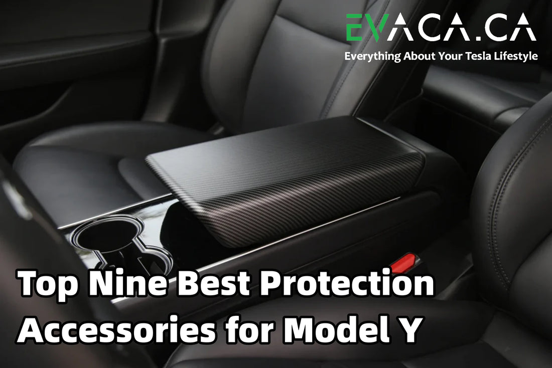Top Nine Best Protection Accessories for Model Y