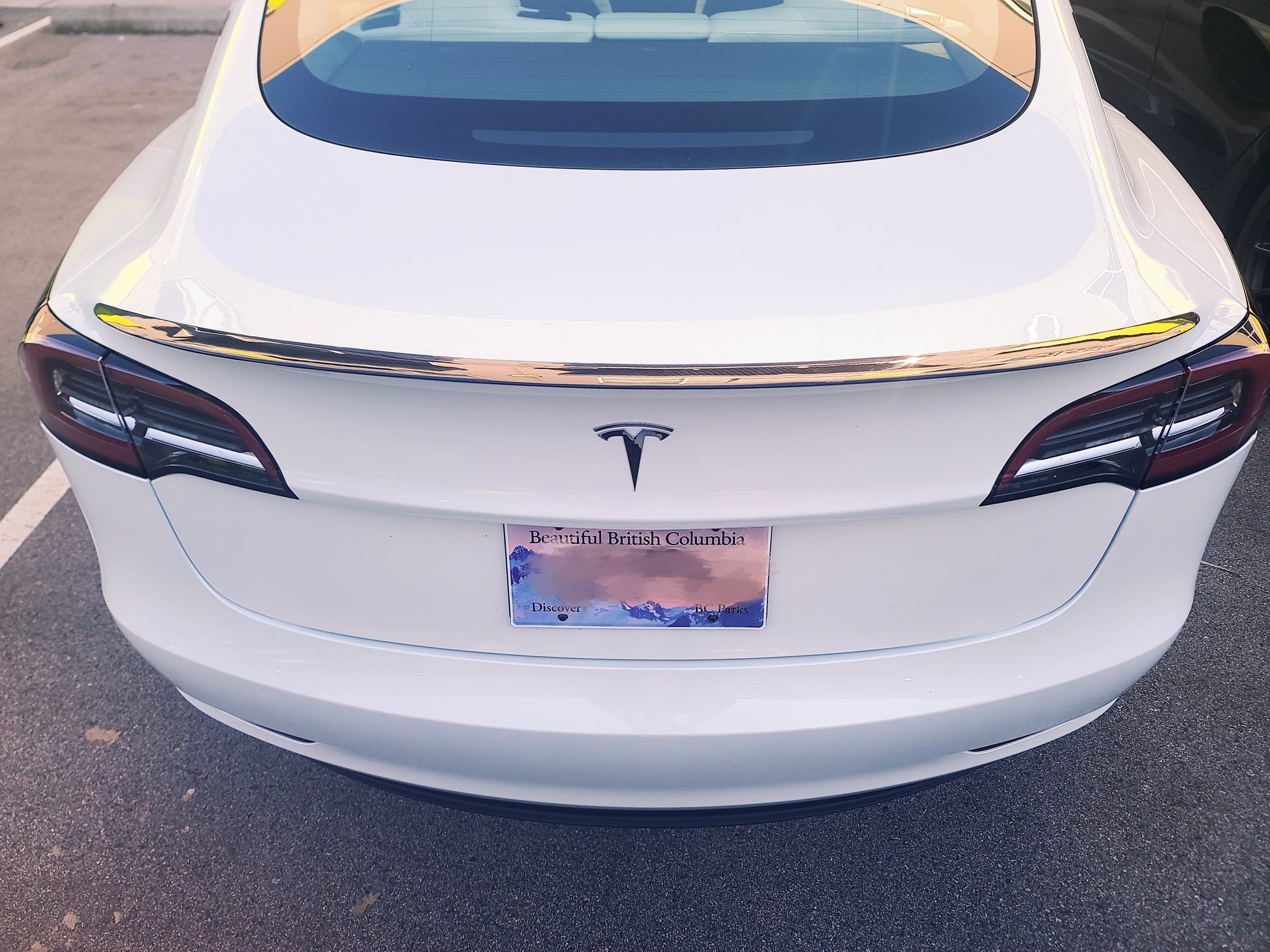 Tesla Model 3 Y Carbon Fiber Spoiler Tesla Real Carbon Fiber