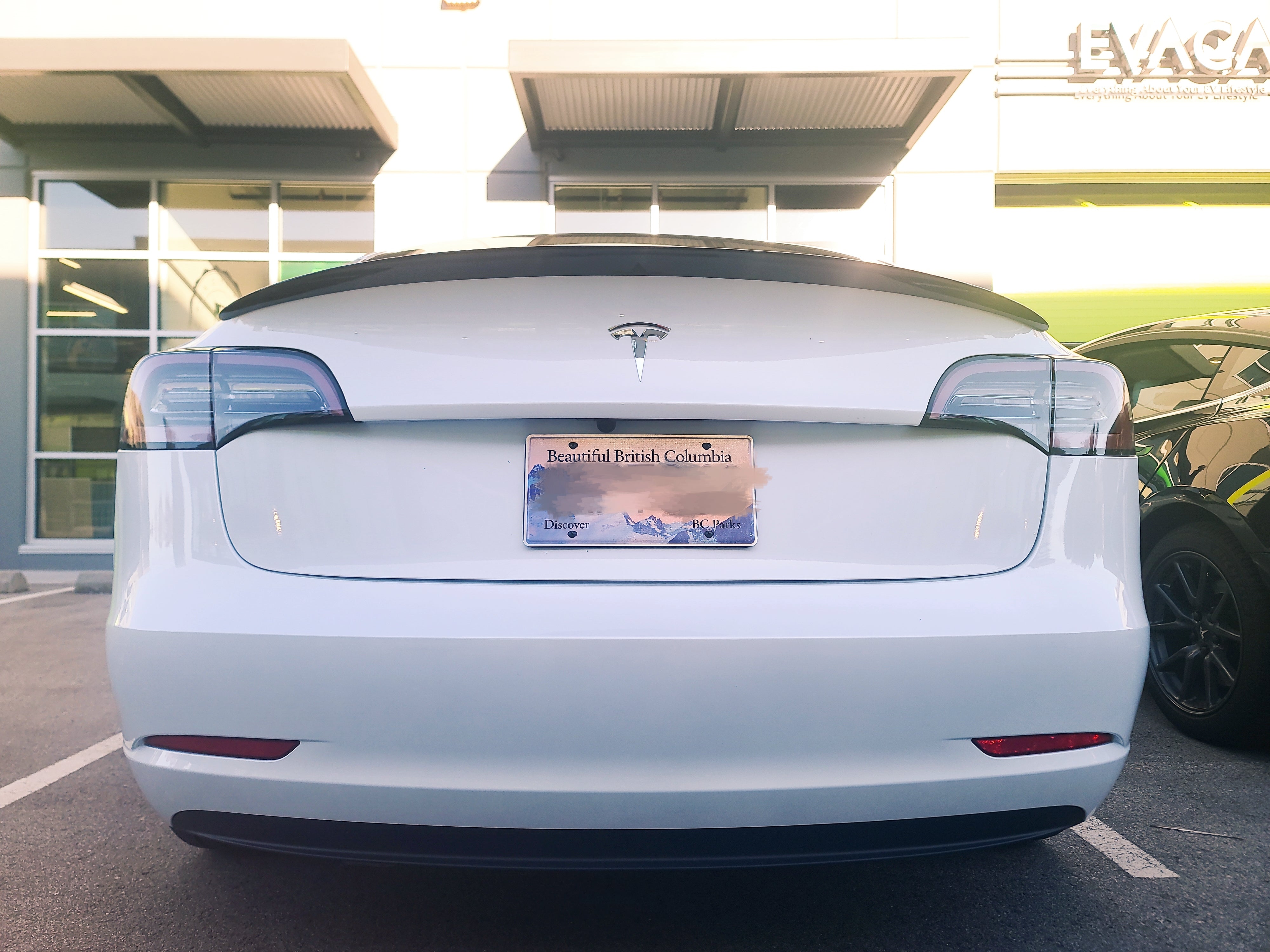 Model 3/Y: Real Carbon Fibre Performance Spoiler – EVACA | Premium