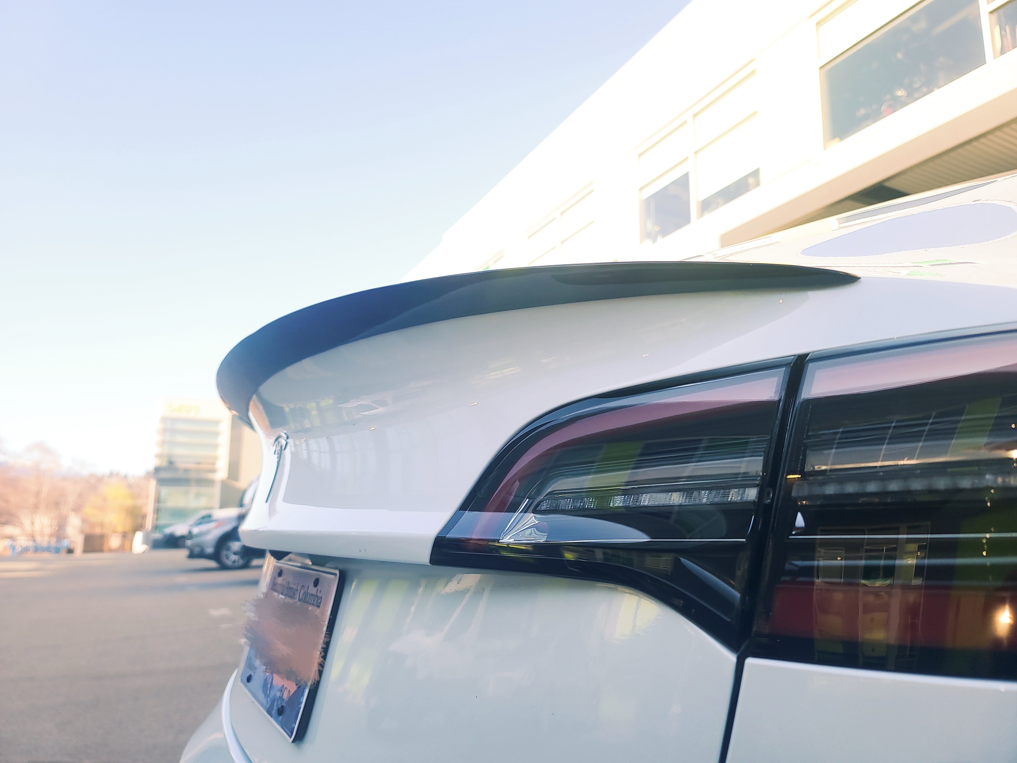 Model 3/Y: Real Carbon Fibre Performance Spoiler – EVACA | Premium