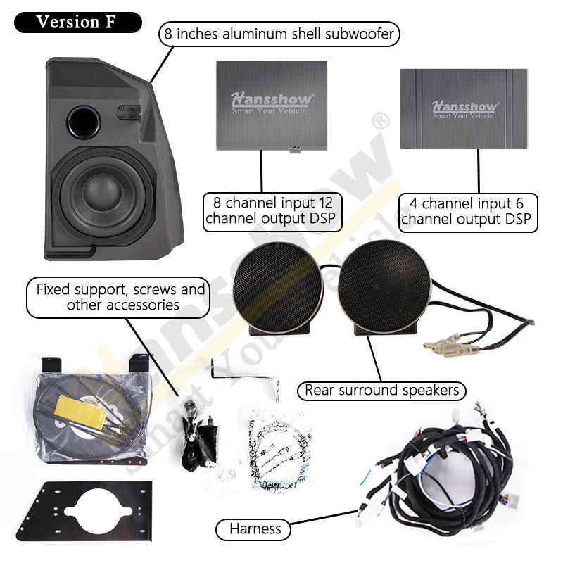 Model 3 sr+ audio shop upgrade